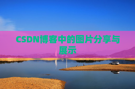 CSDN博客中的图片分享与展示
